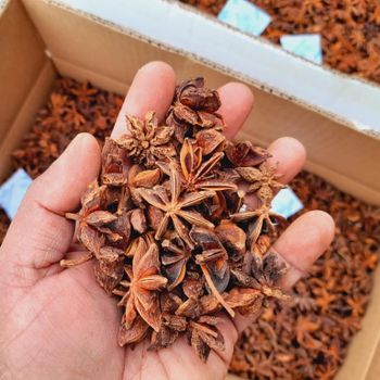 Star Anise Quality Spices Low Price Wholesale Spring Grade Broken Star Anise - EXPO COMMODITIES (VIET NAM) COMPANY LIMITED - Vietnam