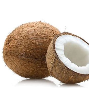 Dried Coconut Organic Packed In Box From Vietnam Manufacturer, Used As A Seasoning - RHINO TRAN CO., LTD - Vietnam