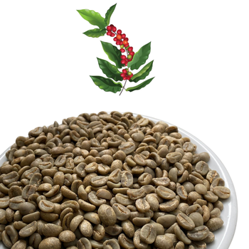 Robusta Green Coffee Beans Premium Quality Screen 16 Red Honey Processing With Long Shelfl Life Single Origin Viet Nam Product – product photo, Long Green Beans products found from trusted suppliers, wholesalers, manufacturers & exporters Listing