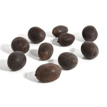 HOT SELLING Natural Black Lotus High Quality Whole Raw Black Lotus Seeds Flower Seeds - EXPO COMMODITIES (VIET NAM) COMPANY LIMITED - Vietnam