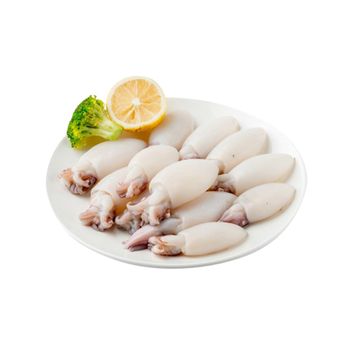 Hot price for frozen whole baby cuttlefish from Vietnam from TANIS IMPORT & EXPORT COMPANY LIMITED Hot price for frozen whole baby cuttlefish from Vietnam - TANIS IMPORT & EXPORT COMPANY LIMITED - Vietnam