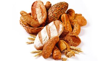 All Purpose Wheat Flour - Turun Gida San Ve Tic A.S. (Turun Flour Mills) - Turkey