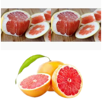 High Quality Honey Pomelo Fruit Fresh Citrus Fruit Red Pomelo Sweet Taste GrapeFruit Organic VietNam Export Fruit - RHINO TRAN CO., LTD - Vietnam