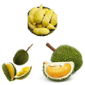 The Best Fresh Durian , Tropical Fruit, Fresh Durian Fruit, Vietnam Export Products, Bangladesh, Turkey, India, China Fresh Duri - RHINO TRAN CO., LTD - Vietnam