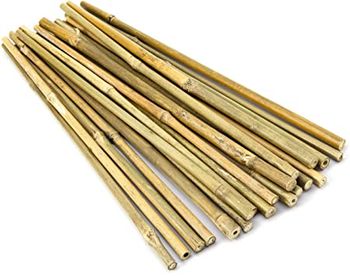 100% Natural bamboo Pole - Wholesale Bamboo pole Garden Support - Moso Bamboo Cane export worldwide - MIGHTY ASIA COMPANY LIMITED - Vietnam