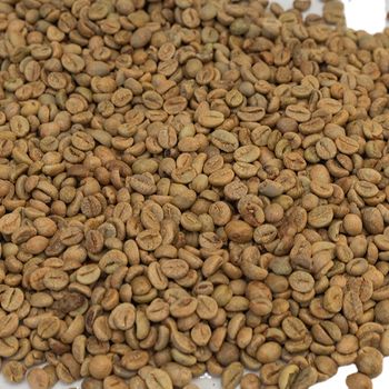 Coffee Beans Suppliers Premium Grade Organic Arabica Green Size 18 60 Kg Honey COMMON Cultivation with 24 Months Shelf Life - HIGHLAND TROPICO COFFEE COMPANY LIMITED - Vietnam