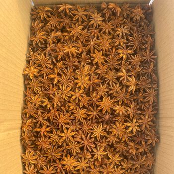 Wholesale Best Price Dried Spices Dried Star Anise in Bulk - EXPO COMMODITIES (VIET NAM) COMPANY LIMITED - Vietnam