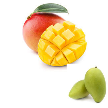 The New Fresh Mango Fruit Organic Packed In Box Vietnam Manufacturer VietNam Export Products Fresh Green Mango from RHINO TRAN CO., LTD The New Fresh Mango Fruit Organic Packed In Box Vietnam Manufacturer VietNam Export Products Fresh Green Mango - RHINO TRAN CO., LTD - Vietnam
