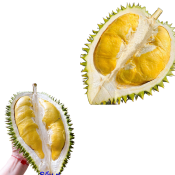 High Quality Fresh Durian Ri6 Eat Directly Sweet And Fatty Taste Organic Packed In Box Fresh Durians – product photo, Fresh Sweet Onion products found from trusted suppliers, wholesalers, manufacturers & exporters Listing