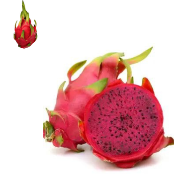 Cheap Price Of Pitaya Fruit Fresh Fruit Tropical Fruit Cool Fresh Dragon Fruit Packing Box In Vietnam - RHINO TRAN CO., LTD - Vietnam