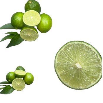 Special Fresh Lemon Lime Without Seed Seedless Lime Green Organic Packed In Box in Vietnam To Dubai UAE Thailand - RHINO TRAN CO., LTD - Vietnam