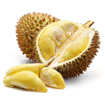 Wholesale Sweet savory and creamy taste strong smell Brix 20% Ri 6 Monthong Fresh Durian From Vietnam - C&C INTERNATIONAL FOOD JOINT STOCK COMPANY - Vietnam