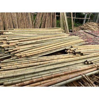 Factory Wholesale Cheap Price Natural Artificial Bamboo Poles for Indoor Outdoor Decoration - MIGHTY ASIA COMPANY LIMITED - Vietnam