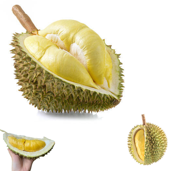 The Best Fresh Durian , Tropical Durian frozen Organic fruits, xotic fruits Organic Packed In Box Vietnam Manufacturer - RHINO TRAN CO., LTD - Vietnam