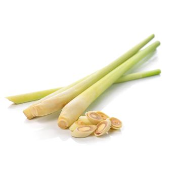 Special Lemon Grass From Vietnam For Export Cheap Price And Quick Response With High Quality And Carefully Packaged - TANIS IMPORT & EXPORT COMPANY LIMITED - Vietnam