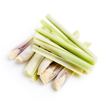 Best Price Frozen Lemon Grass Crushed Lemongrass Frozen Grated Customized Packing - TANIS IMPORT & EXPORT COMPANY LIMITED - Vietnam