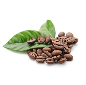 Export Standard High Quality Vietnamese Freshly Roasted Brown Arabica Coffee Beans Made In Vietnam - EXPO COMMODITIES (VIET NAM) COMPANY LIMITED - Vietnam
