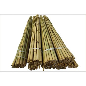 Straighten Bamboo poles sticks wholesale price Raw Bamboo Poles for Gardening and Decoration Bamboo Pole - MIGHTY ASIA COMPANY LIMITED - Vietnam