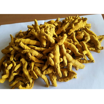 Finger Turmeric Organic fresh turmeric Premium High Quality From Vietnam The Best Price Wholesale 2023 - EXPO COMMODITIES (VIET NAM) COMPANY LIMITED - Vietnam