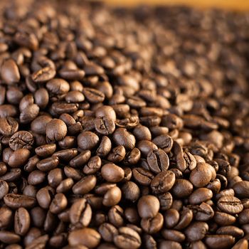 Wholesale High Quality Roasted Coffee Bean Arabica Customized Packaging Premium Grade 16-18 60 Kg Honey COMMON Cultivation - HIGHLAND TROPICO COFFEE COMPANY LIMITED - Vietnam