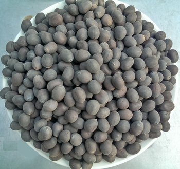 lotus seeds biggest seeds Shelf Life 2 Address Vietnam Model Number 01 Content lotus seed Ingredients lotus seed Storage Type dried - EXPO COMMODITIES (VIET NAM) COMPANY LIMITED - Vietnam