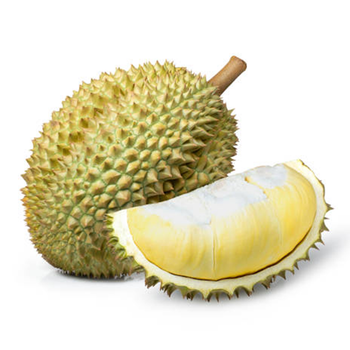 Monthong Fresh Durians fruit export from Vietnam with Yellow Premium quality durian fruit fresh from TANIS IMPORT & EXPORT COMPANY LIMITED Monthong Fresh Durians fruit export from Vietnam with Yellow Premium quality durian fruit fresh - TANIS IMPORT & EXPORT COMPANY LIMITED - Vietnam