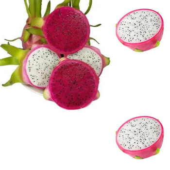 Hot Item Of Dragon Fresh Fruit Tropical Fruit Dried Dragon Fruit Frozen Pitaya Organic from VietNam Manufacture - RHINO TRAN CO., LTD - Vietnam