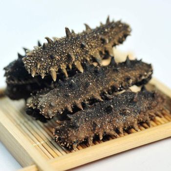 High quality sea cucumber price from manufacturer, dried sea cucumber rich nutrition wholesale - TANIS IMPORT & EXPORT COMPANY LIMITED - Vietnam