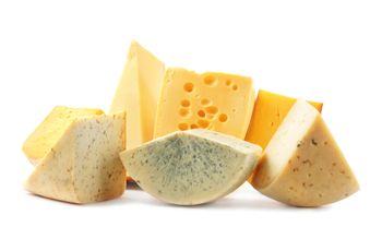 Mozzarella and Cagliata - Kaskat Dairy Sp. z o.o. - Poland