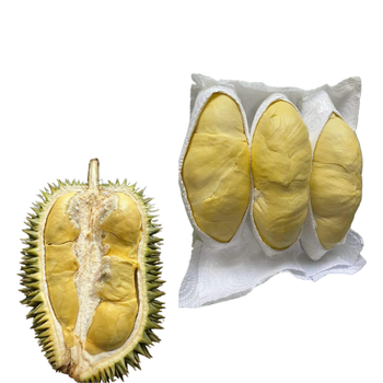 The Best Fresh Durian , Tropical Fruit, Vietnam Export products to China, Thailand Frozen Durian Durian Fruit - RHINO TRAN CO., LTD - Vietnam