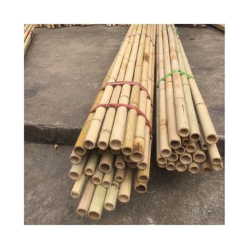 Vietnamese bamboo poles wholesale price - Raw Bamboo Poles for Gardening and Decoration - Bamboo Pole 100% Natural - MIGHTY ASIA COMPANY LIMITED - Vietnam