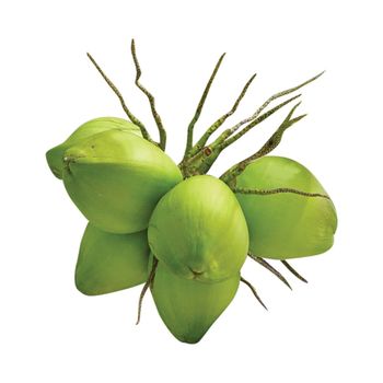 Rich in protein Volume 250 to 300 ml Per piece Fresh Young Coconuts With Diamond shape or polish shape - C&C INTERNATIONAL FOOD JOINT STOCK COMPANY - Vietnam