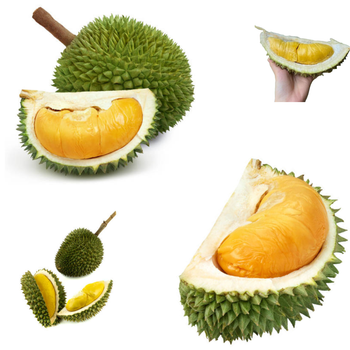 The Best Fresh Durian , Tropical Fruit, Vietnam Export products to China, Thailand, Malaysia, Turkey Organic Dry Fruits - RHINO TRAN CO., LTD - Vietnam