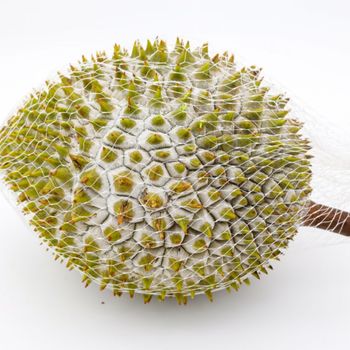 High-Quality Frozen Whole Durian Fruit From Vietnam With Competitive Price - TANIS IMPORT & EXPORT COMPANY LIMITED - Vietnam