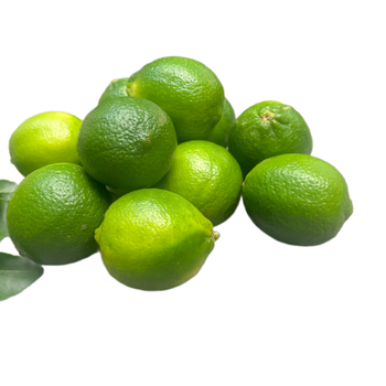 Special Item Lime Without Seed, Lime Organic, Lemon Fruit Lime Fruit Packed In Box Made In Vietnam - RHINO TRAN CO., LTD - Vietnam