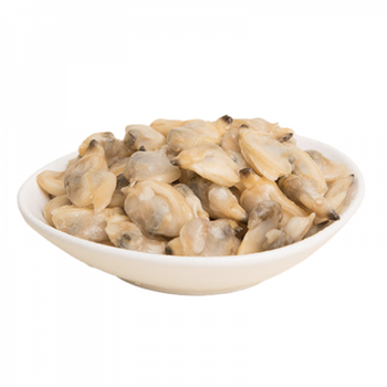 Vietnam Supplier Sale Frozen Clams Without Shell Frozen Natural Clam Meat for export Wholesales - TANIS IMPORT & EXPORT COMPANY LIMITED - Vietnam