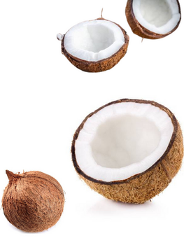 The Best Dry Coconut Used As A Seasoning For Dishes 100% Dried Coconut Organic Packed In Box From Vietnam Manufacturer - RHINO TRAN CO., LTD - Vietnam