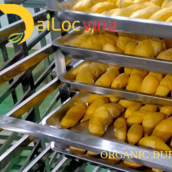 Fresh durian fruit - Monthong durian for export - DAI LOC VINA IMPORT EXPORT TRADING MANUFACTURE COMPANY LIMITED - Vietnam