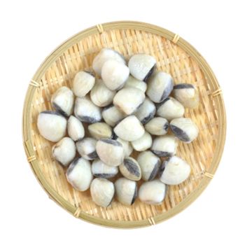 Top sales frozen clam from Vietnam for wholesales Variety N/A Address N/A Content N/A Style FROZEN Color Natural Packaging - TANIS IMPORT & EXPORT COMPANY LIMITED - Vietnam