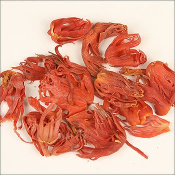 Best Quality Mace Factory Price Best Herbs and Spice Ingredient - EXPO COMMODITIES (VIET NAM) COMPANY LIMITED - Vietnam