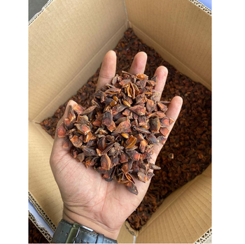 Wholesale 2023 Low Price Star Anise Best Quality Spring Dried Star Anise Spices For Cooking - EXPO COMMODITIES (VIET NAM) COMPANY LIMITED - Vietnam