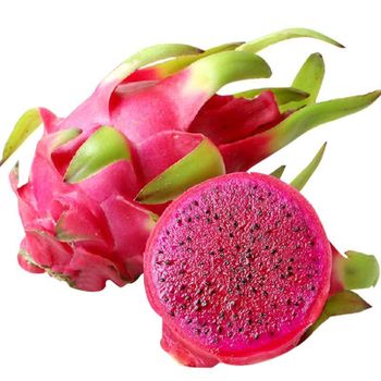 EXOTIC RED AND WHITE DRAGON FRUIT - VIETNAM'S FINEST - TANIS IMPORT & EXPORT COMPANY LIMITED - Vietnam