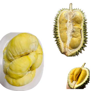 The Best Fresh Durian , Tropical Fruit, Vietnam Export products to Durian Malaysia Frozen Meat Monthong Durian - RHINO TRAN CO., LTD - Vietnam