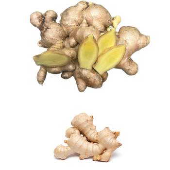 Special Item Ginger Keep Dry Or Refrigerated Old Organic Packed In Box Made In Vietnam Fresh Vegetables - RHINO TRAN CO., LTD - Vietnam