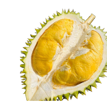 The Hot Fresh Durians ,Flesh Durian Malaysia, Fresh Durian fruit for sale Organic fruits Packing Box in Vietnam - RHINO TRAN CO., LTD - Vietnam