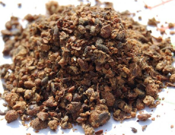 Cotton Seed Meal - AMPLE OVERSEAS - Global