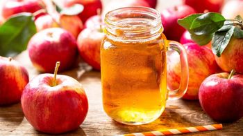 Apple Juice Storage Conditions -18°c To 22°c Shelf Life 24 Months From Manufacturing Date Fruit Type A Blend Of Various Apples For Optimal - HOA CUONG AGRICULTURAL JSC - Vietnam