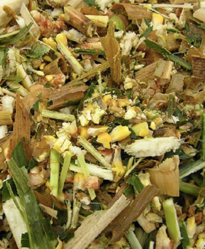 Sour Corn (Corn Silage) Origin Vietnam Protein Content 8.5% Ingredient Corn Tree Shelf Life Up To 12 Months Storage Dry Or Cold - Viet D.E.L.T.A Industrial Co, Ltd. - Vietnam