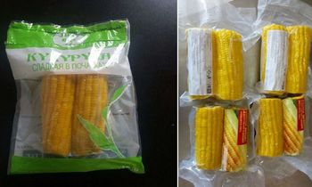 Vacuum Packed Boiled Corn on the Cob - UNITY AGRO FOODS - India