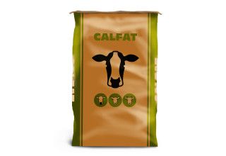 Product - VOLAC WILMAR FEED INGREDIENTS SDN - Global